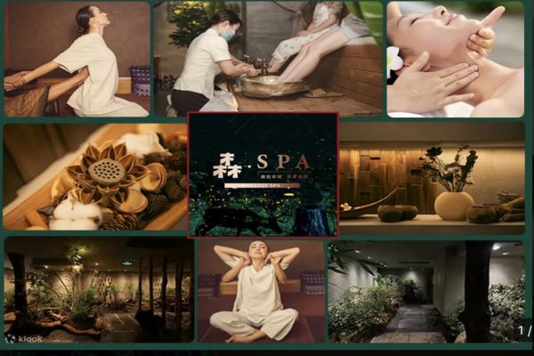 森spa   泰式按摩  森林故事  國貿店