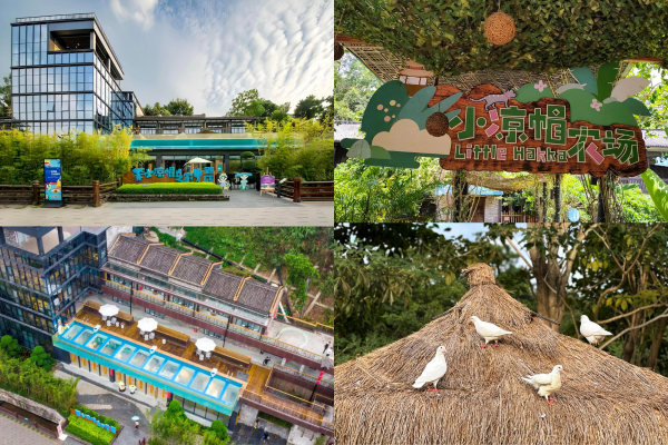 深圳推門即農場！小涼帽之家親子酒店開箱